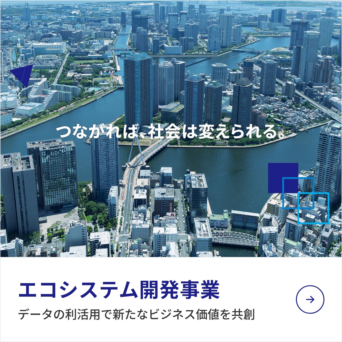 エコシステム開発事業：データの利活用で新たなビジネス価値を共創